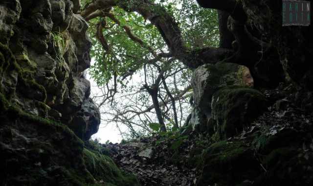 Non c' solo Mercadante: dallaltra parte di Cassano grotte e natura antica